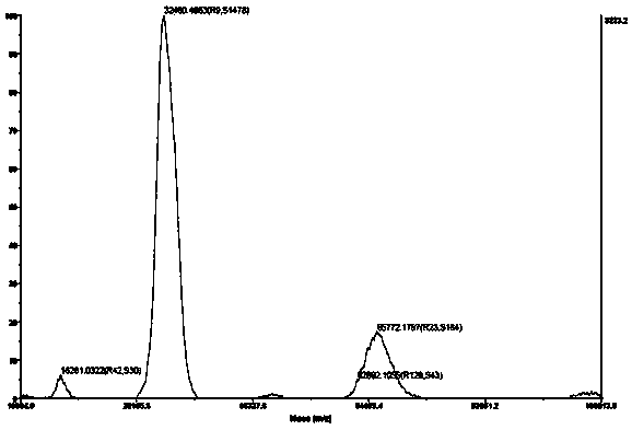 Human kallikrein of mammalian cell expression as well as coding gene and application thereof