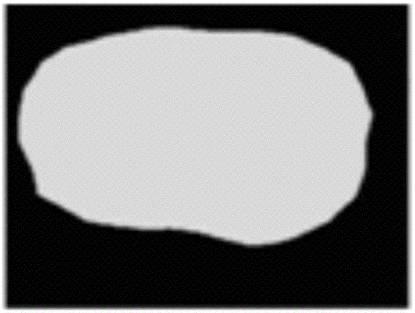 Semantic segmentation model training and image segmentation method and device, and calculating equipment