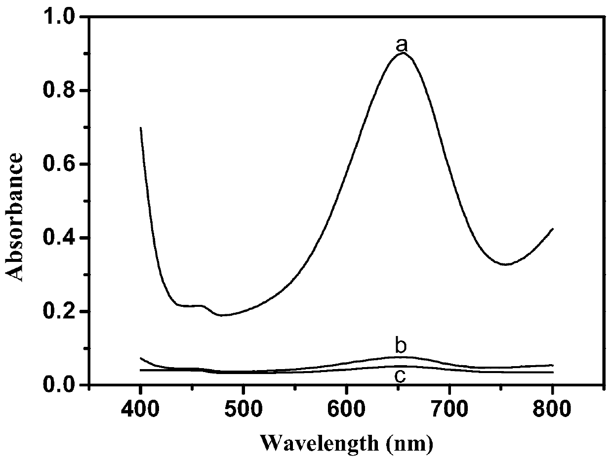 Biomass amorphous carbon having oxidase-like and peroxidase-like activity, and preparation method and application thereof