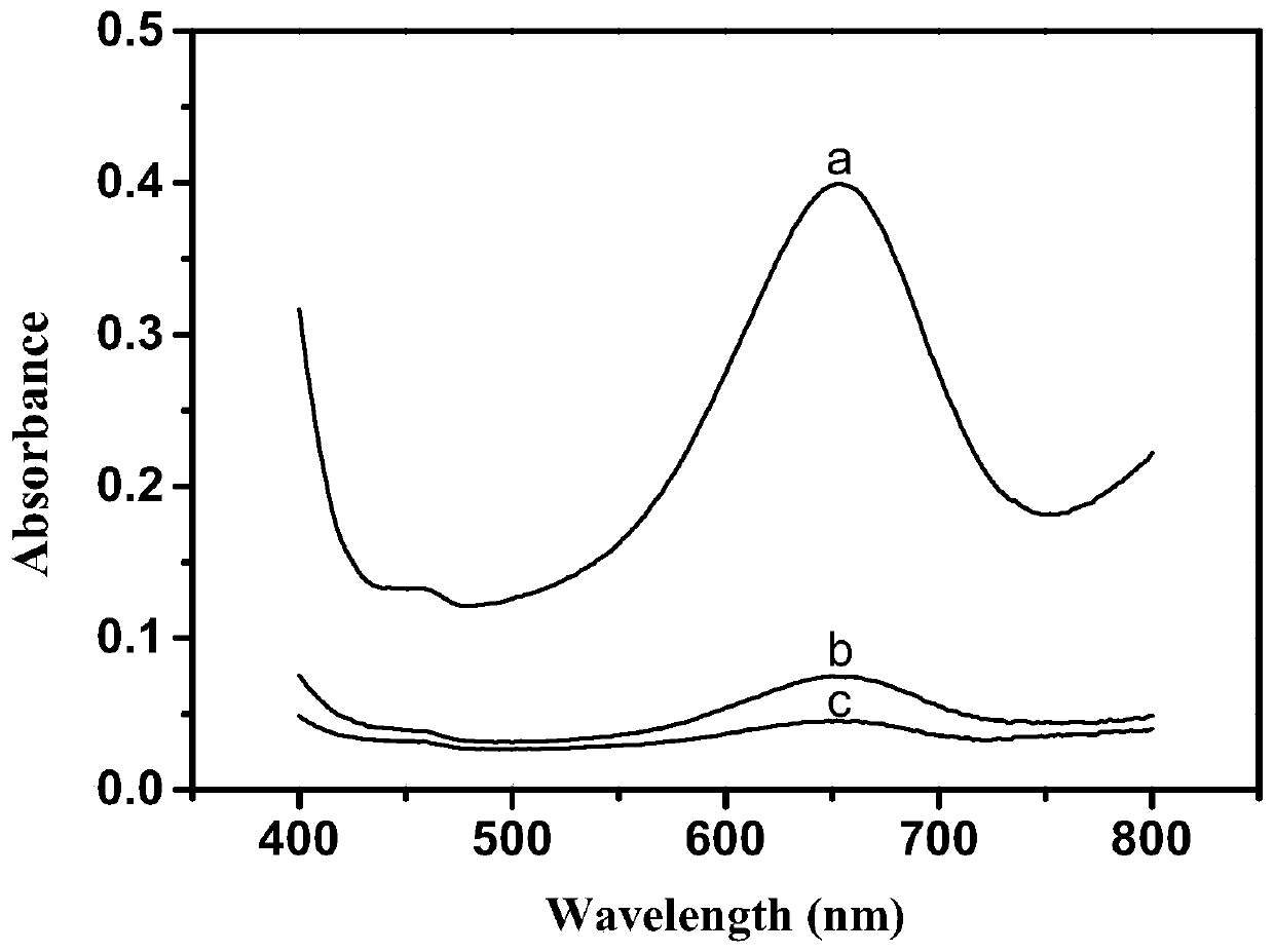 Biomass amorphous carbon having oxidase-like and peroxidase-like activity, and preparation method and application thereof