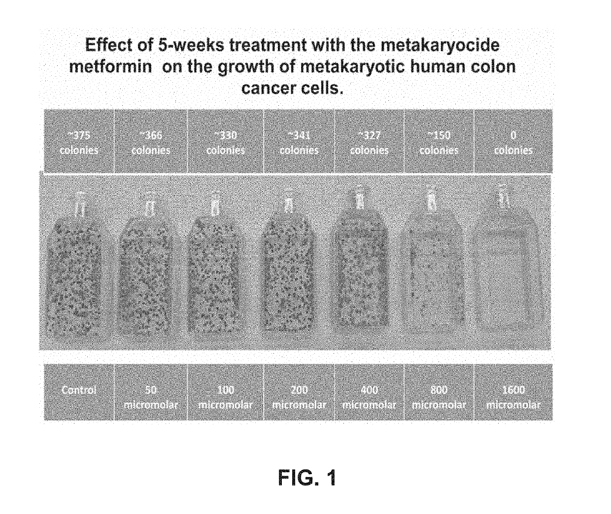 Metakaryocidal treatments