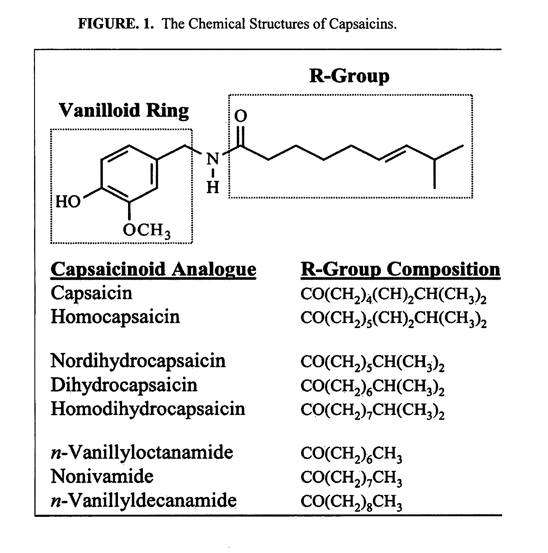 Esters of capsaicin for treating pain