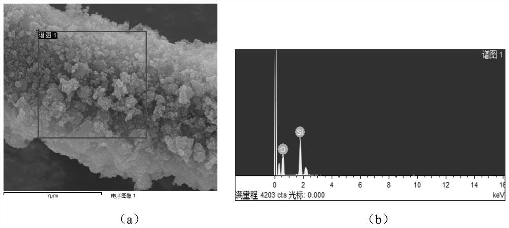 Modified carbon fiber, preparation method thereof and modified carbon fiber reinforced cement-based material