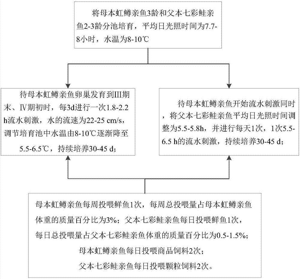 Method for controlling synchronous maturity of brook trout and rainbow trout