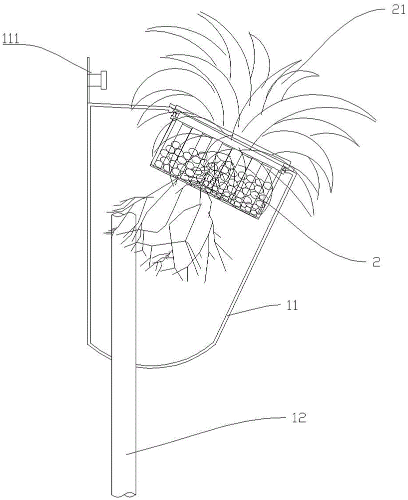 Hydroponic plant wall planting method and device