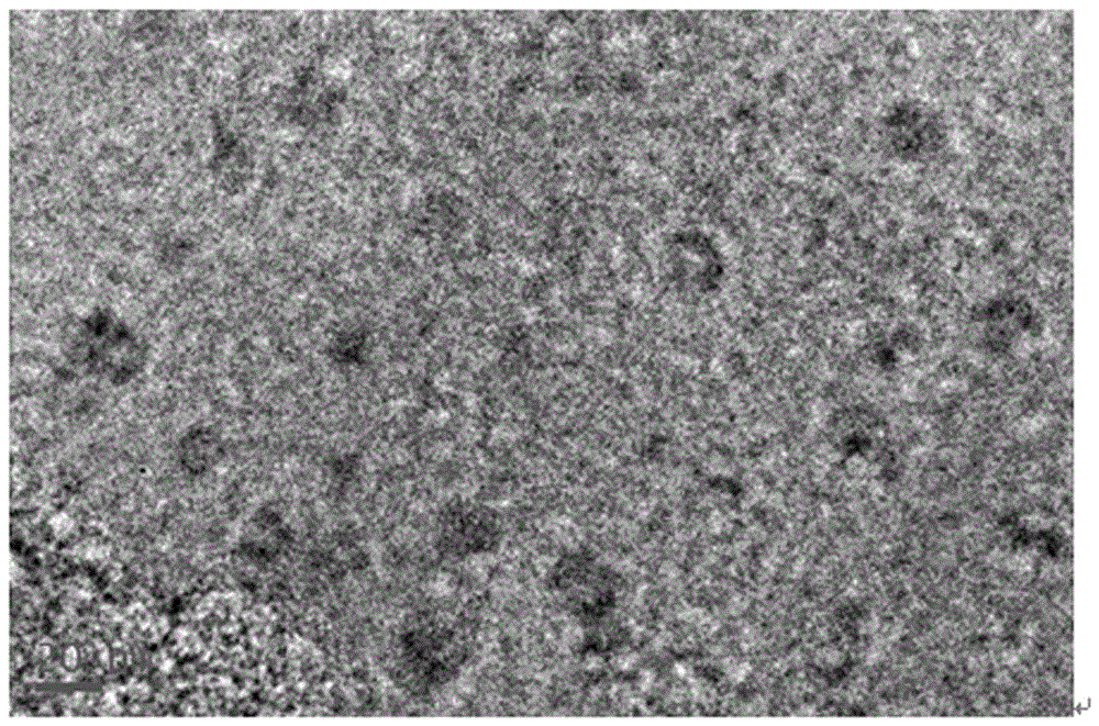 Method for quickly synthesizing carbon dots in microwave manner by using yeast bacteria as a main carbon source and using carbon dots to detect pH of solution