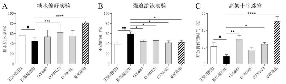 Composite microbial preparation and application thereof in relieving depression and constipation