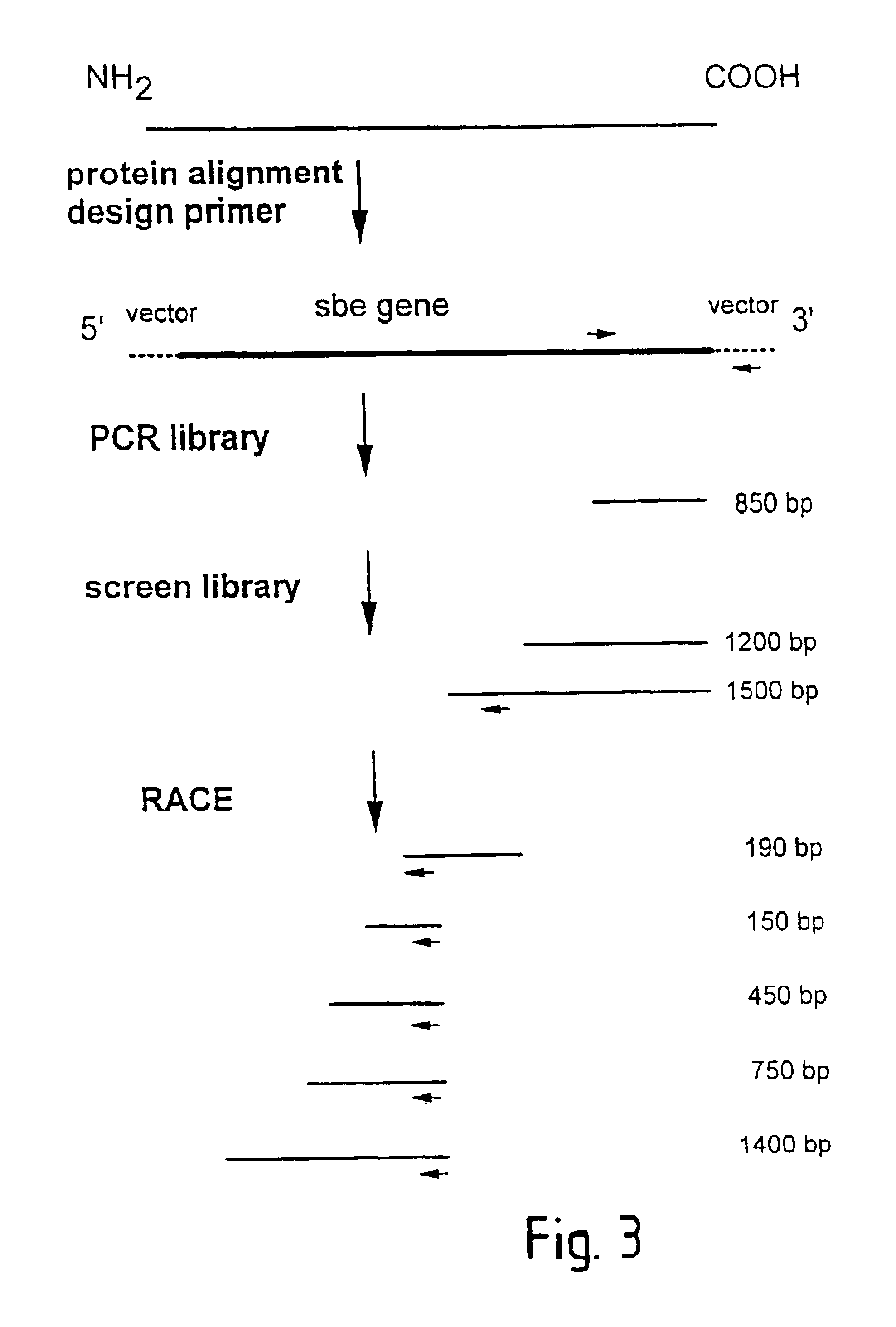 Plant Starch Composition