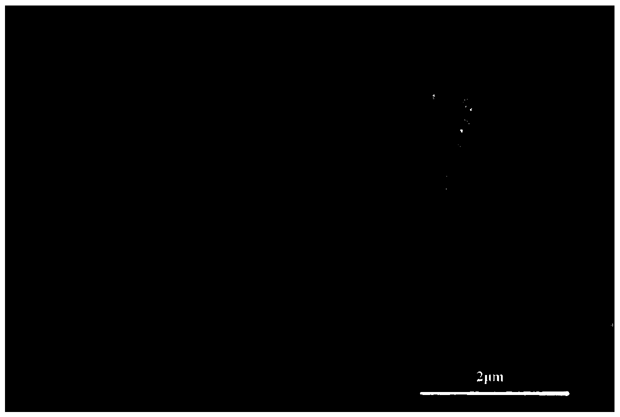 Tetrabromobisphenol A molecularly-imprinted electrochemical sensor, and preparation method and application thereof