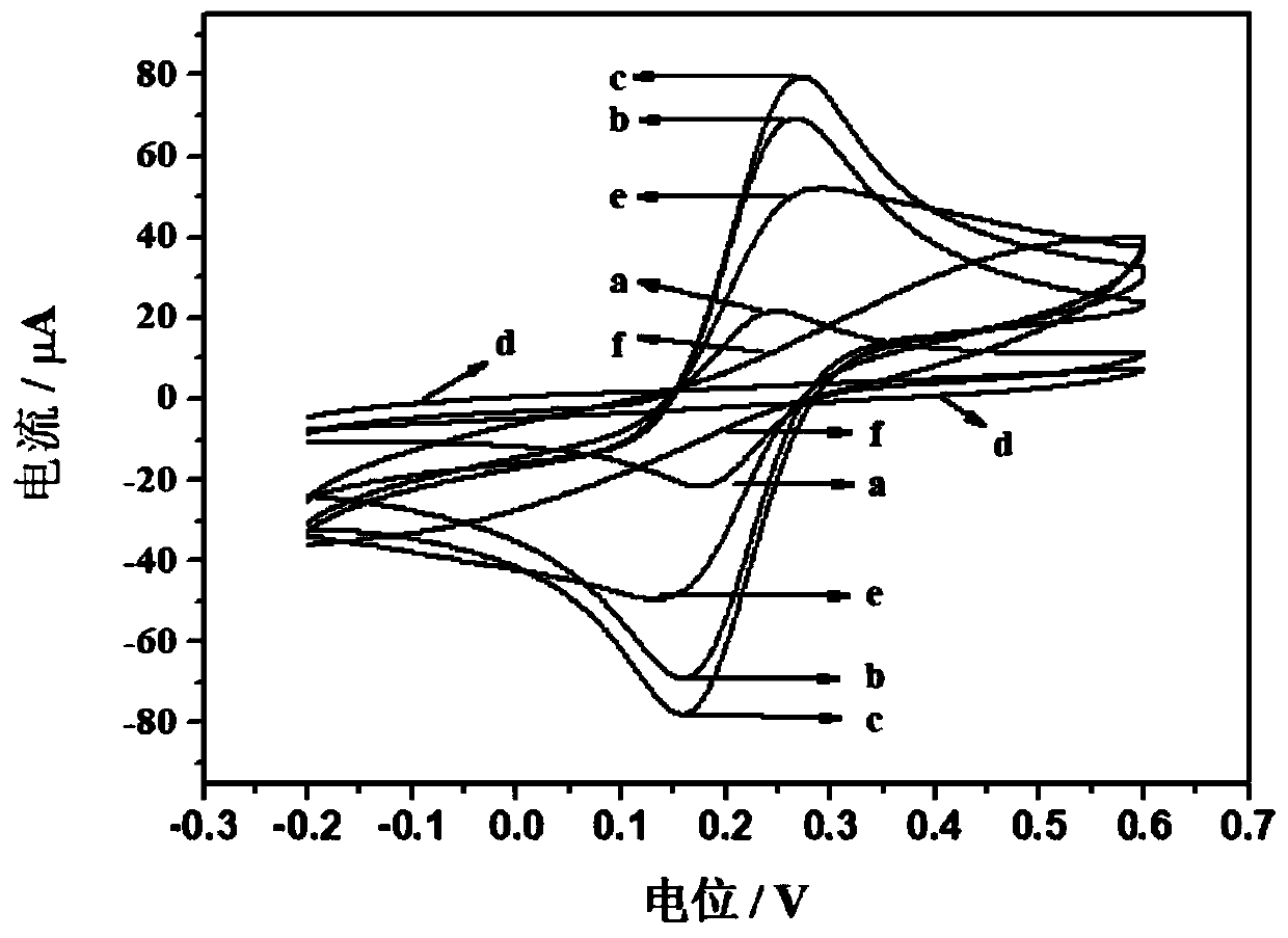 Tetrabromobisphenol A molecularly-imprinted electrochemical sensor, and preparation method and application thereof