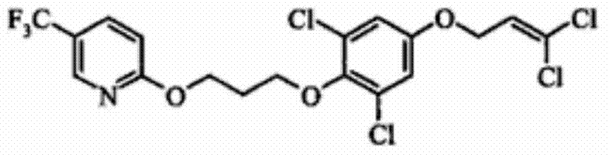 Compound insecticidal composition containing pyridalyl and alpha-cypermethrin and application thereof