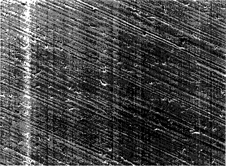 Method for chemical plating of nickel-boron alloy on magnesium alloy surface