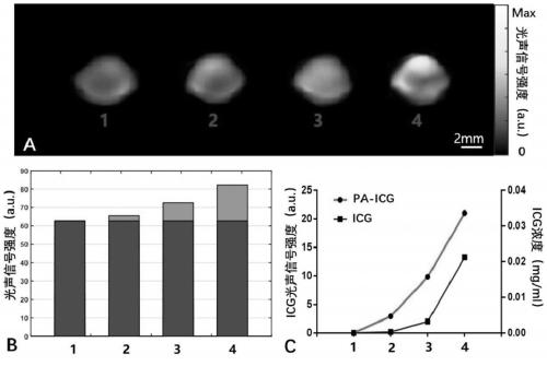 Device for noninvasively detecting indocyanine green content in bodies