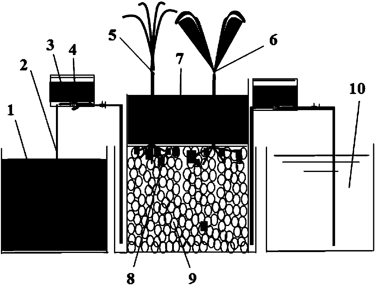 Underflow constructed wetland ecological system for disposing rural domestic waste and disposing method