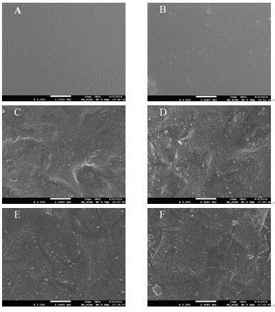 Corn starch film containing rutin composite nanoparticles and preparation method of corn starch film