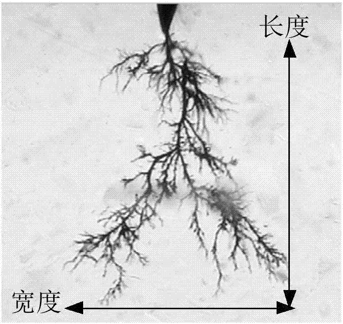 Apparatus for triggering the electric tree of an epoxy resin insulating material by using variable pulse voltage