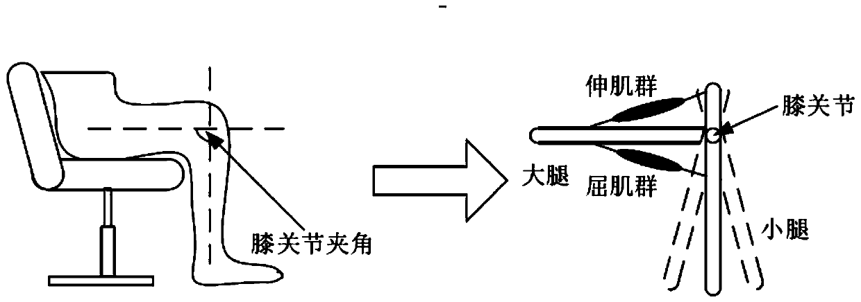 Load mechanical analysis device for knee joint