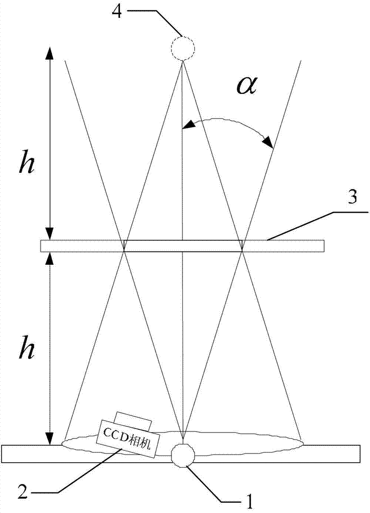 Method and device for measuring scattering property of horizontally oriented particle swarm