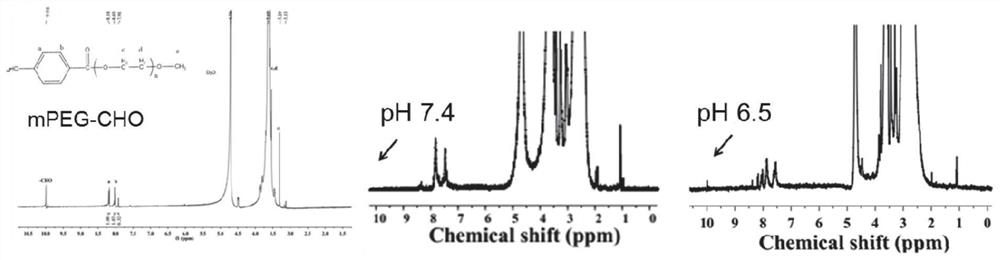 Nucleic acid molecule-loaded acid response polymer modified bismuth elementary substance nanosheet as well as preparation method and application thereof