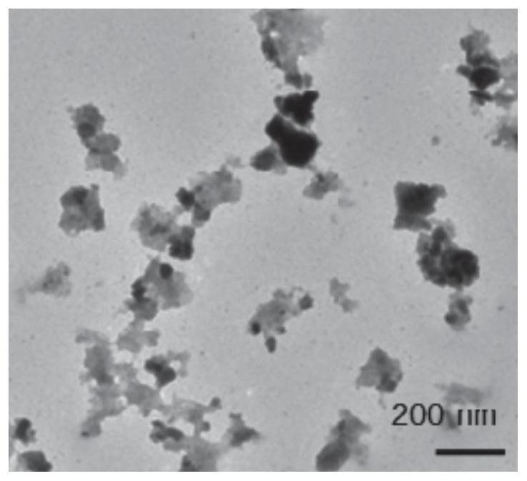 Nucleic acid molecule-loaded acid response polymer modified bismuth elementary substance nanosheet as well as preparation method and application thereof