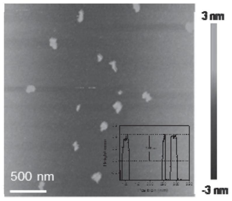 Nucleic acid molecule-loaded acid response polymer modified bismuth elementary substance nanosheet as well as preparation method and application thereof