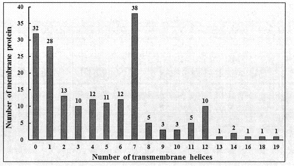 Method for screening of neuropeptide receptors