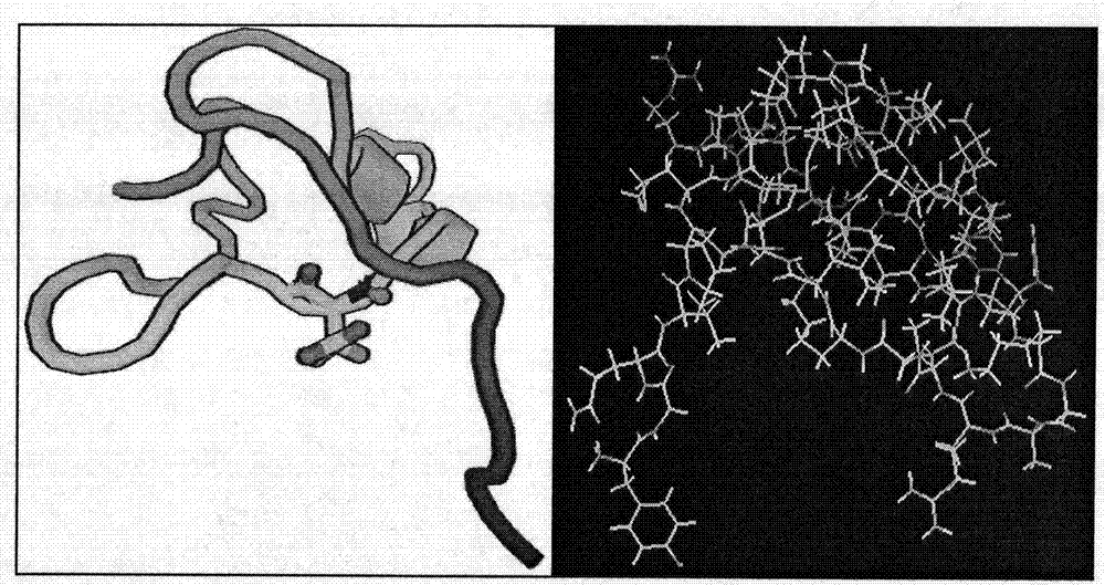 Method for screening of neuropeptide receptors