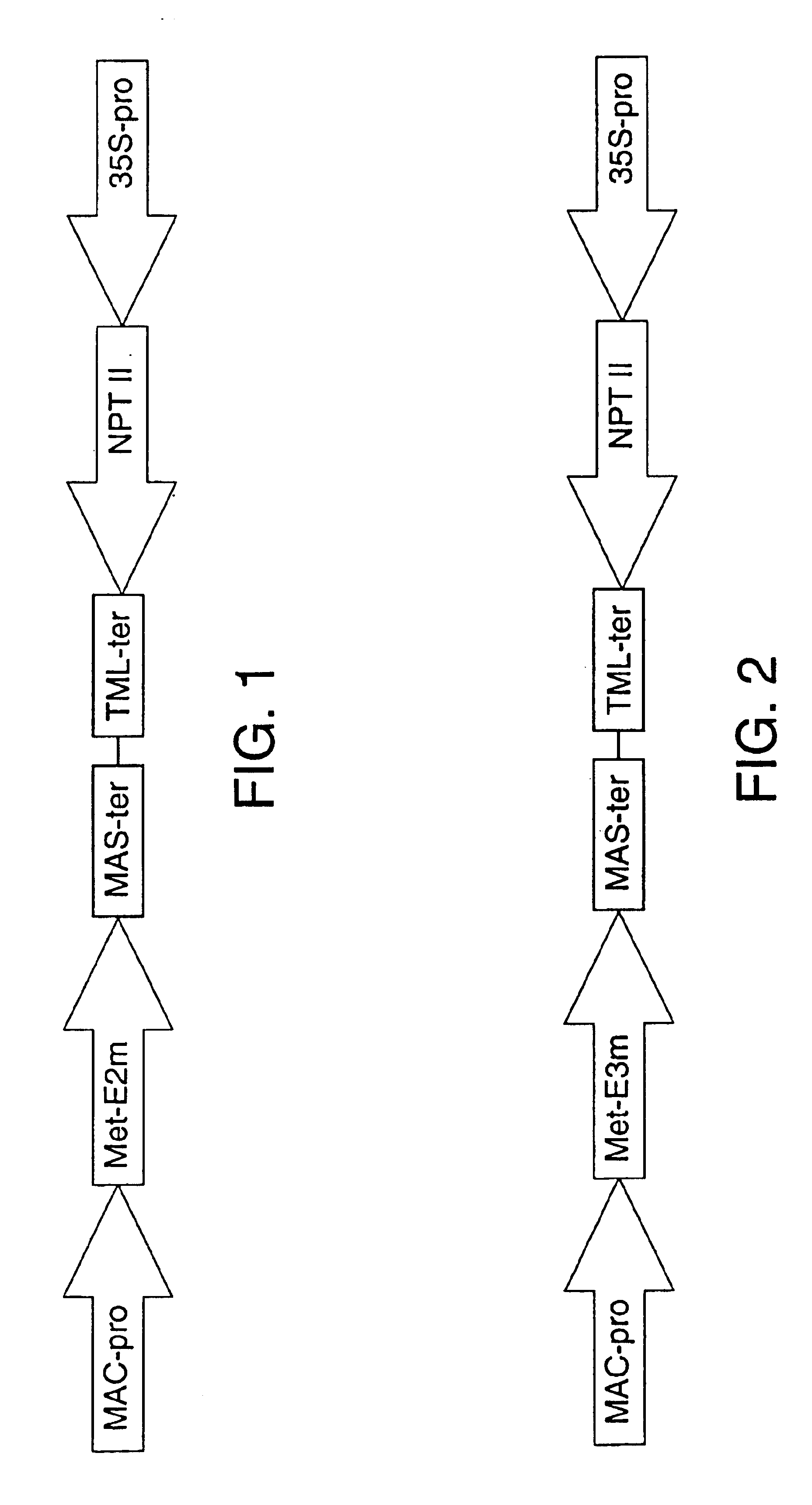 Transgenic plants as an alternative source of lignocellulosic-degrading enzymes