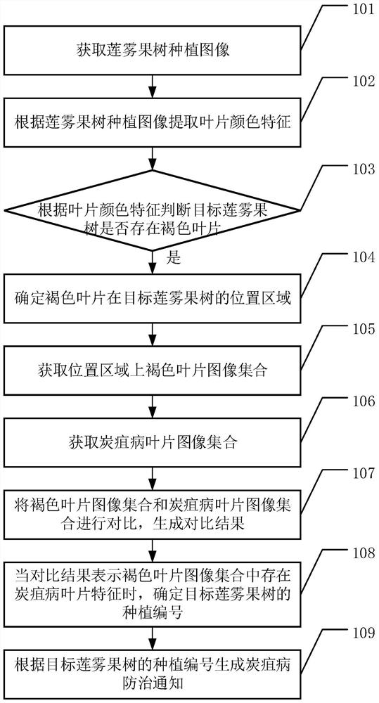 Syzygium samarangense growth condition intelligent detection method and system