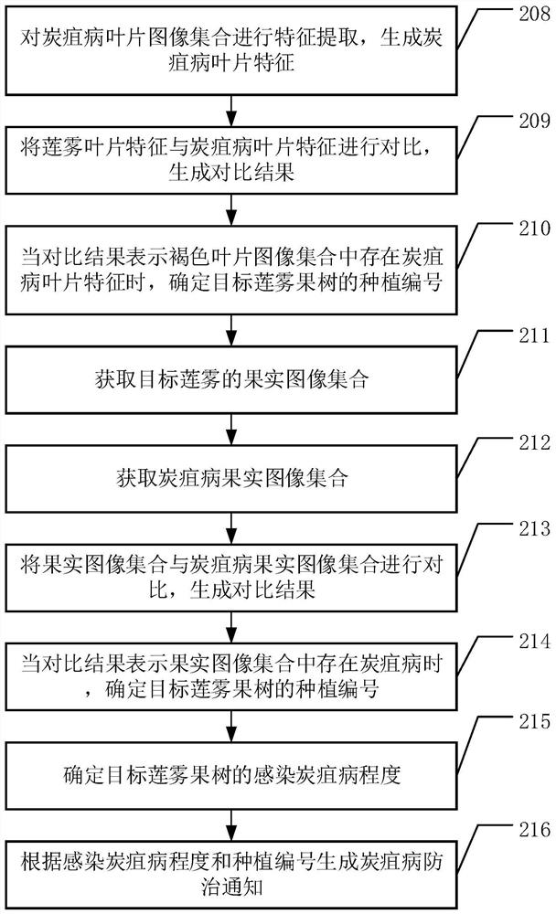 Syzygium samarangense growth condition intelligent detection method and system