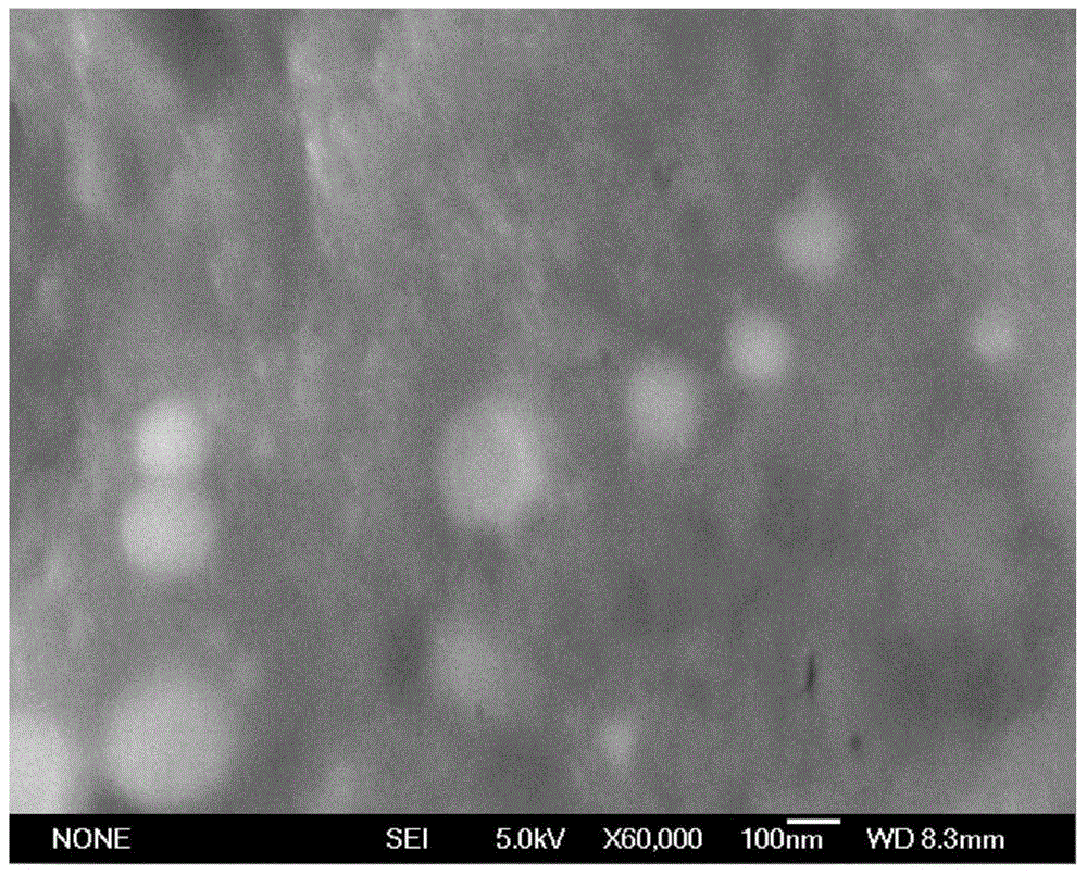 Selenium-enriched microorganism preparation prepared from fermentation of mixed bacterium liquid and preparation method of selenium-enriched microorganism preparation