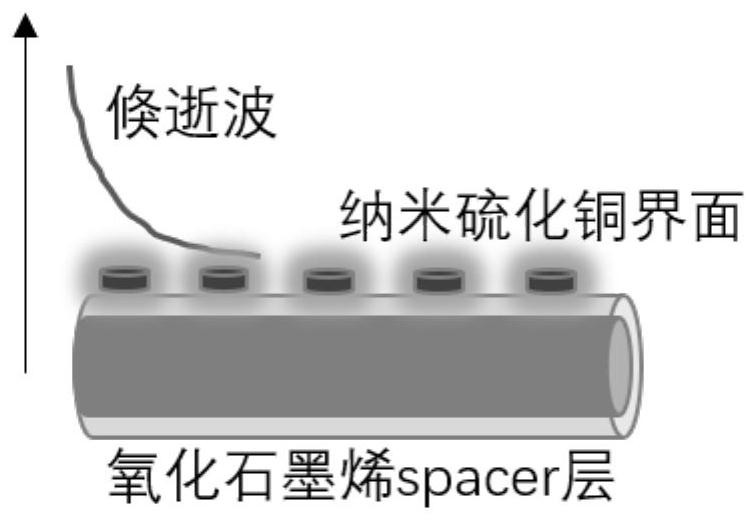 Sensitive microrna optical fiber sensing device and its production and measurement method