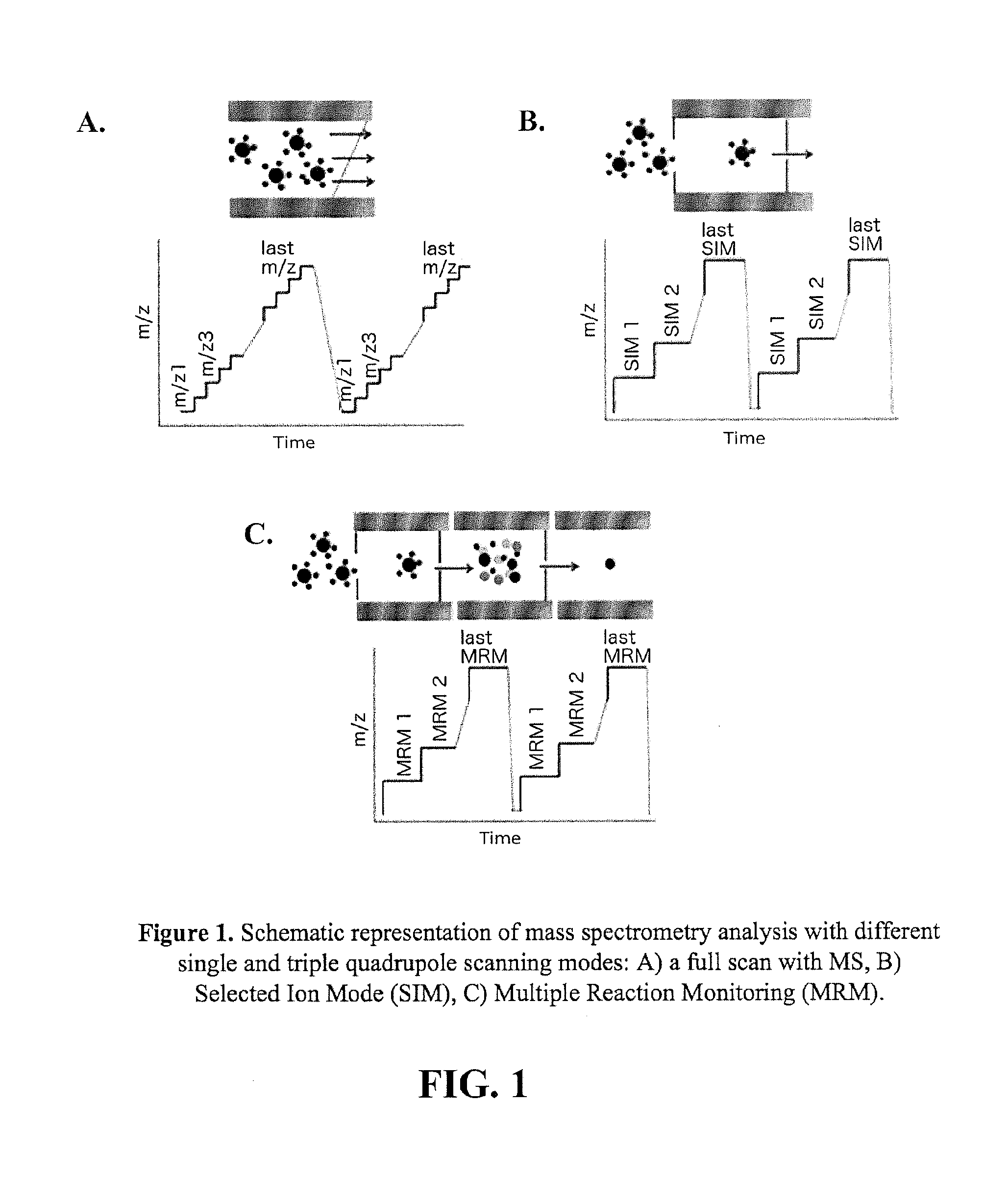 Target Binding Molecules Identified by Kinetic Target-Guided Synthesis