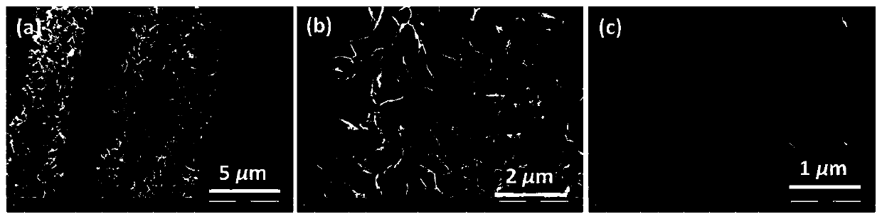 Nickel tetrathiocobaltate/cobalt hydroxide nanosheet array structure composite material and preparation and application thereof