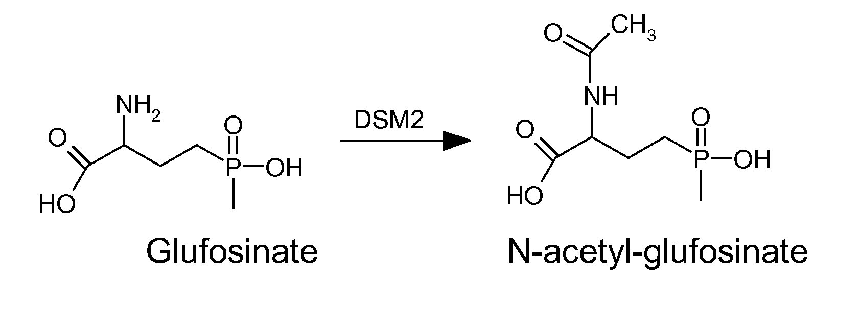 Constructs for Expressing Herbicide Tolerance Genes, Related Plants, and Related Trait Combinations