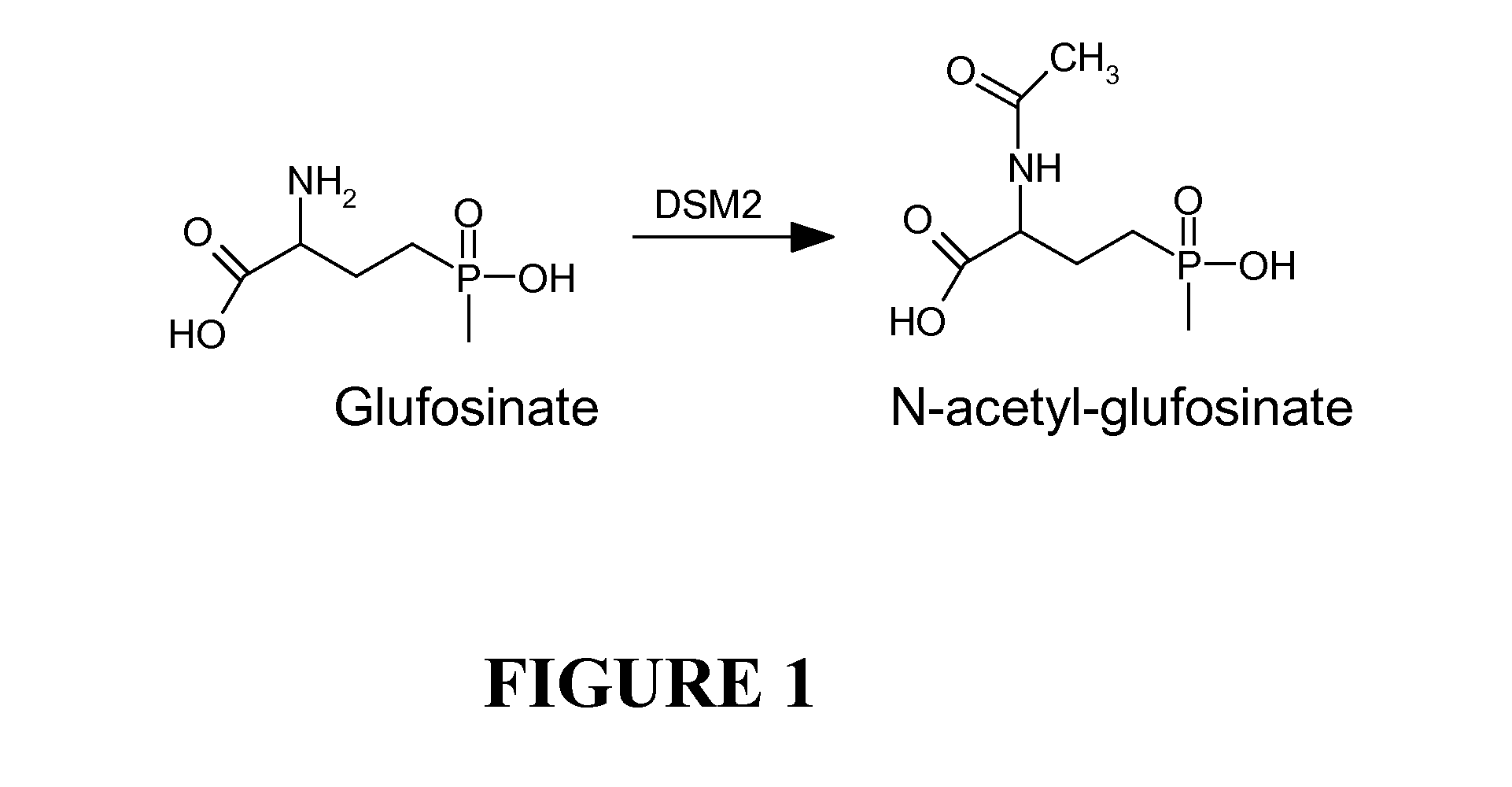 Constructs for Expressing Herbicide Tolerance Genes, Related Plants, and Related Trait Combinations