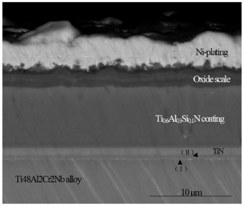 High temperature corrosion and ablation-resistant coating on surface of gamma-TiAl-based alloy and preparation method thereof