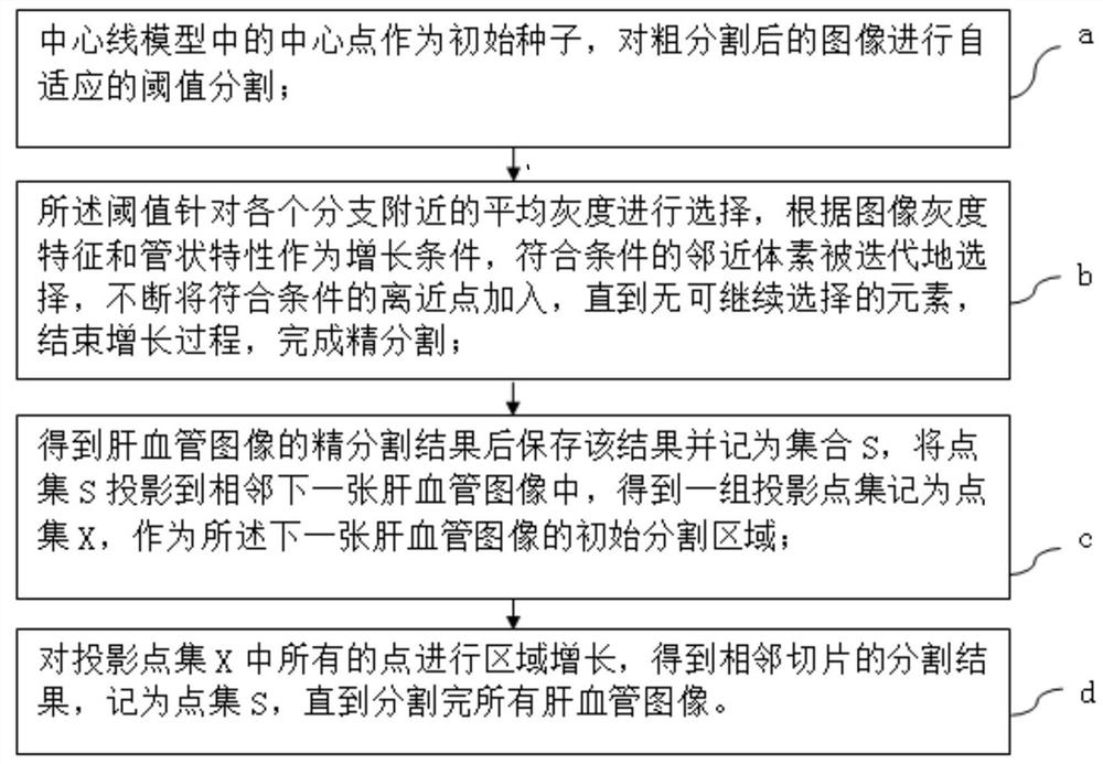 Liver blood vessel segmentation system based on Hessian matrix and gray scale method