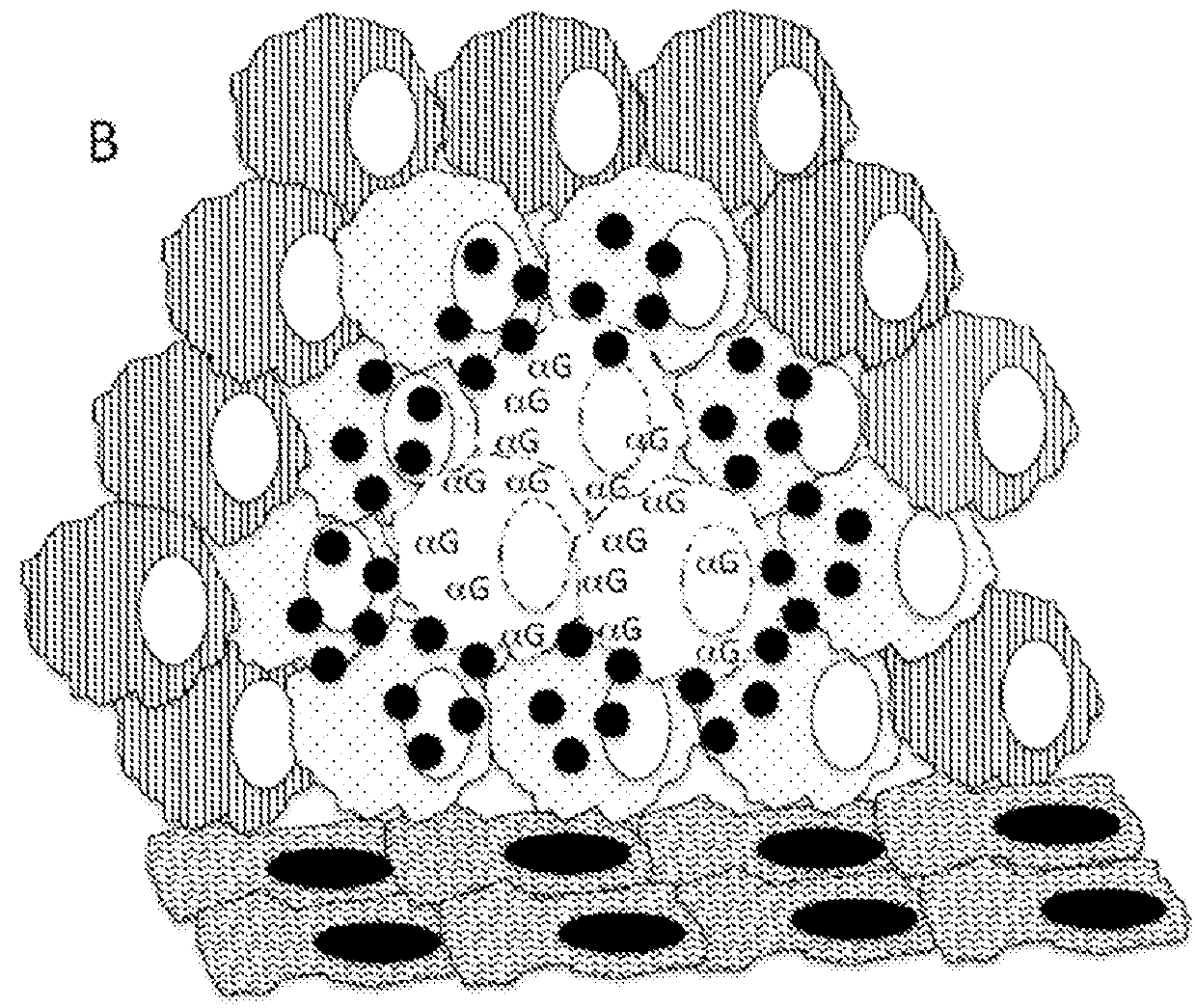 Therapeutic compositions and methods of use for treating cancer