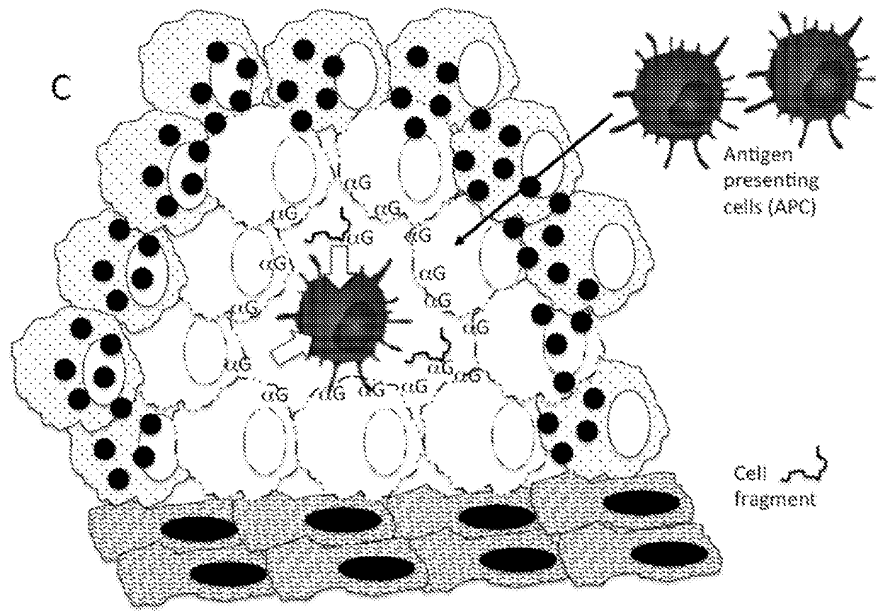 Therapeutic compositions and methods of use for treating cancer