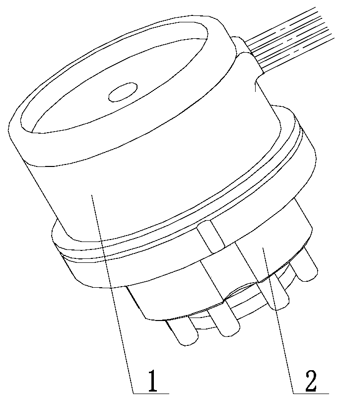 Dry-wet general type electroencephalogram sensing electrode