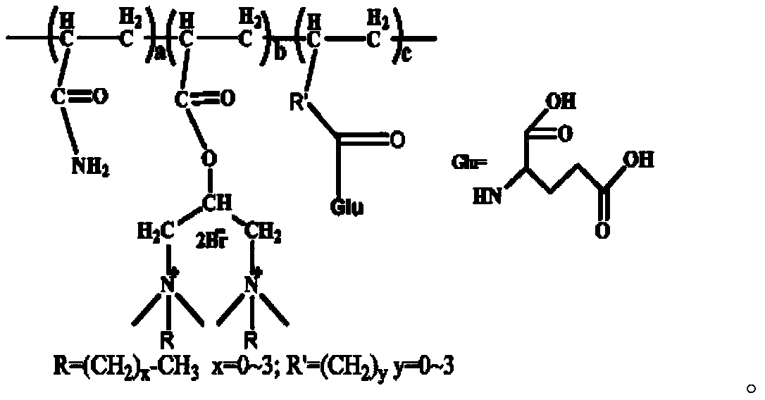 Novel amphoteric acrylamide polymer flocculant and preparation method thereof