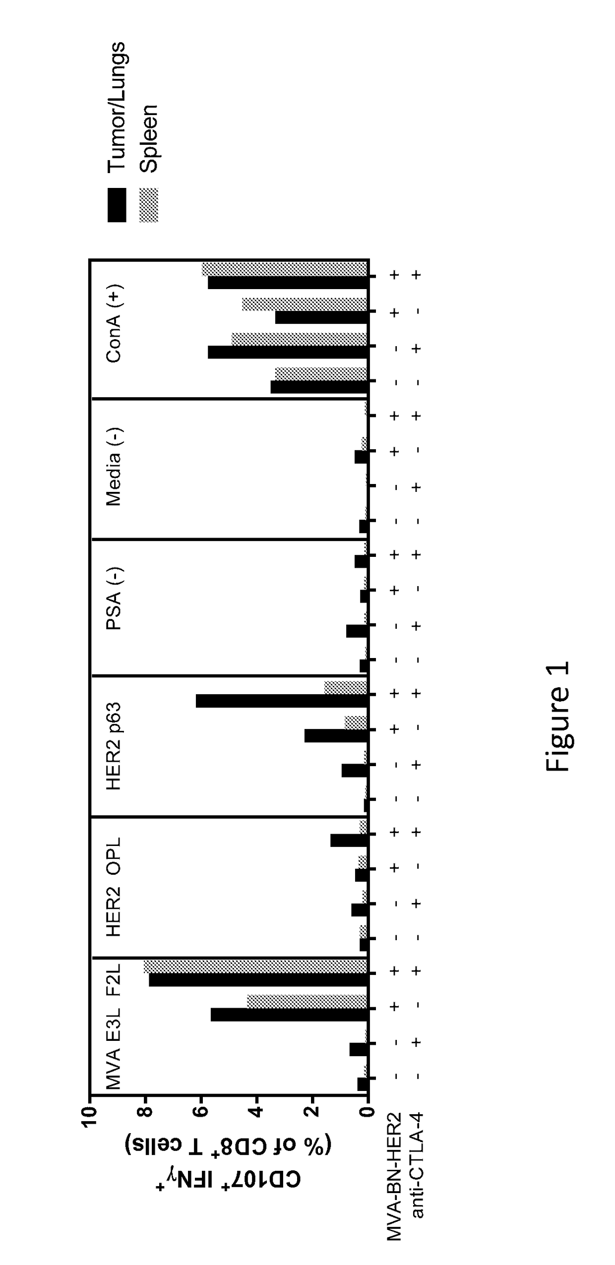 Combination Therapy for Treating Cancer with a Poxvirus Expressing a Tumor Antigen and an Antagonist and/or Agonist of an Immune Checkpoint Inhibitor