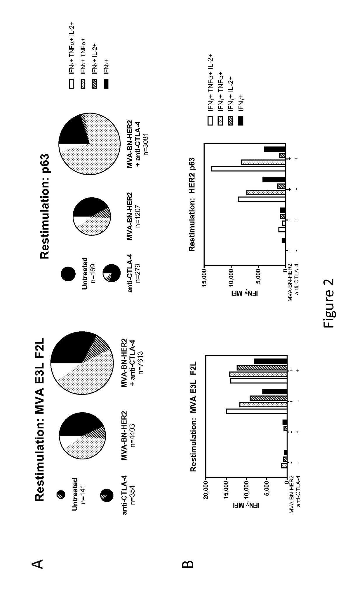 Combination Therapy for Treating Cancer with a Poxvirus Expressing a Tumor Antigen and an Antagonist and/or Agonist of an Immune Checkpoint Inhibitor