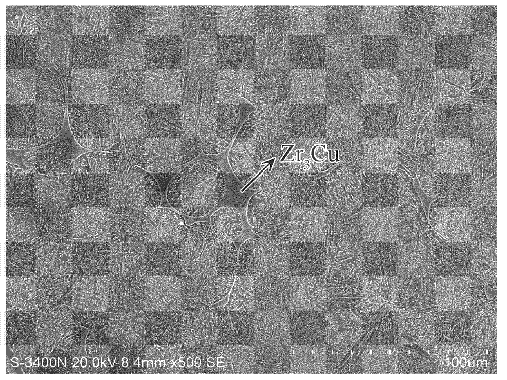 Hard-tissue bio-medical in-situ synthesized zirconium matrix composite material and preparation method thereof