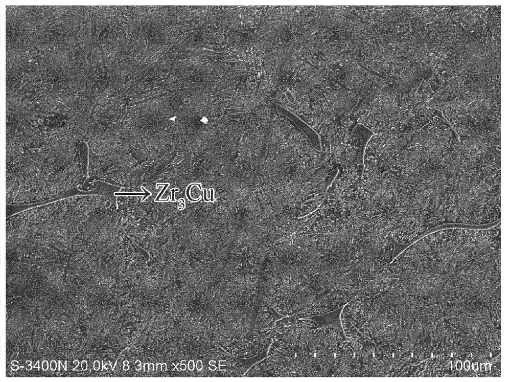 Hard-tissue bio-medical in-situ synthesized zirconium matrix composite material and preparation method thereof