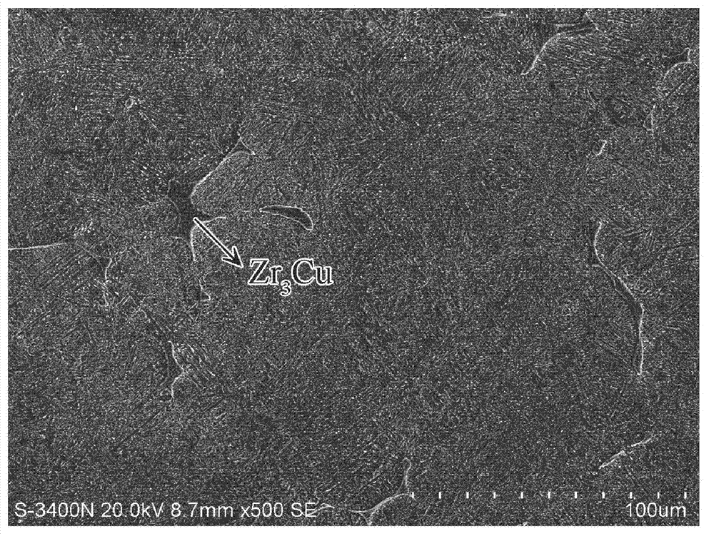 Hard-tissue bio-medical in-situ synthesized zirconium matrix composite material and preparation method thereof