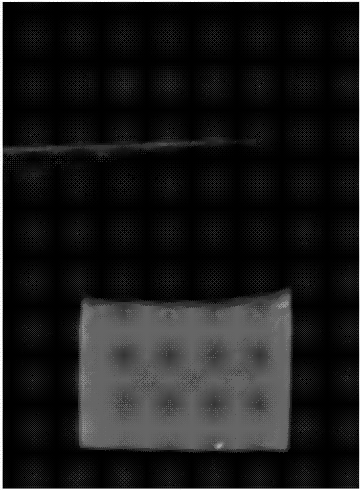 Carbon dot/chitosan detector with dual detection function and preparation method thereof