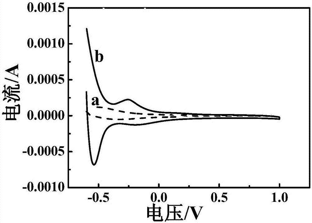 Carbon dot/chitosan detector with dual detection function and preparation method thereof