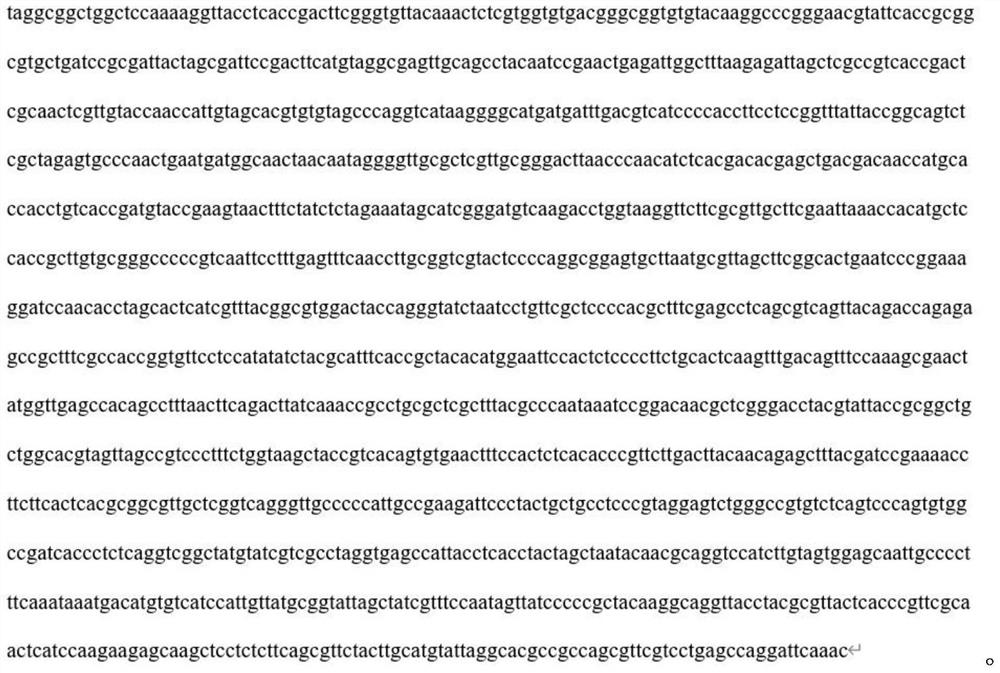 Streptococcus thermophilus for fermentation, screening method and application of streptococcus thermophilus in cherry enzyme fermentation